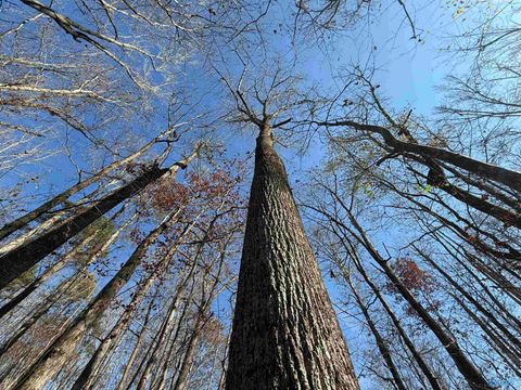 Vacant Land For Sale - 23 AC Tabor Road<br/> Etowah County, Gadsden, AL 35904