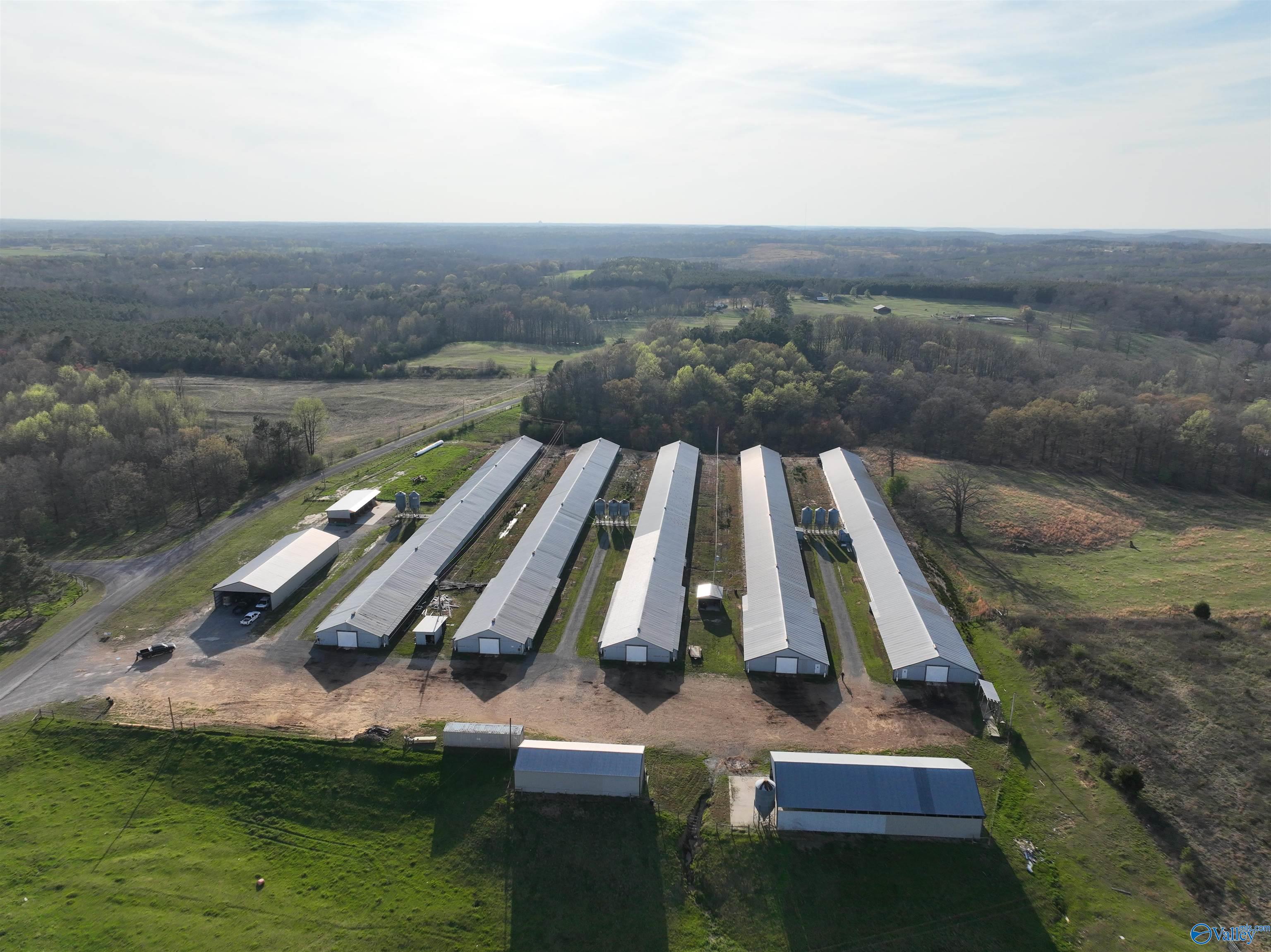 2210 County Highway 38, Russellville, Alabama image 7