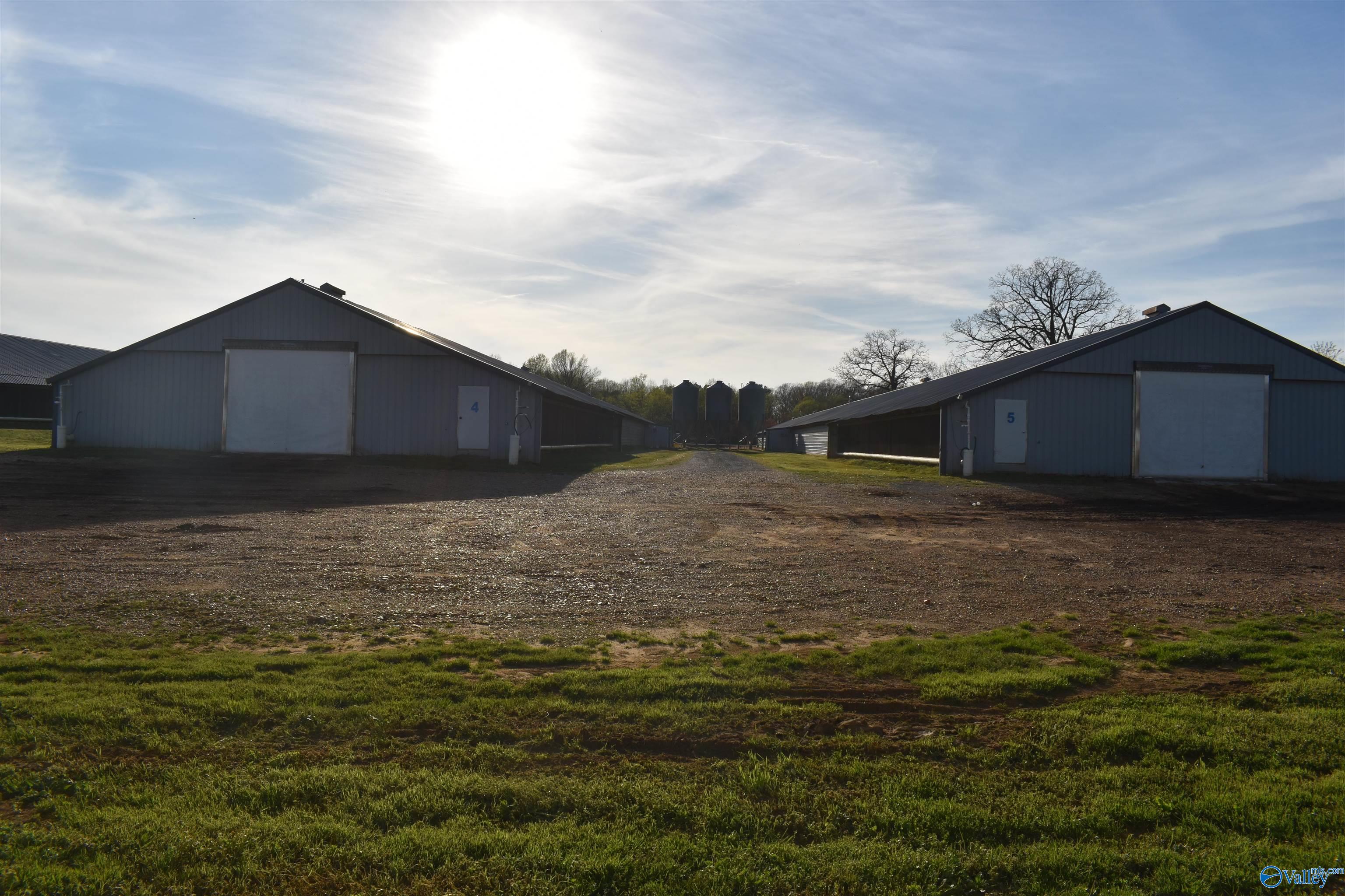 2210 County Highway 38, Russellville, Alabama image 10