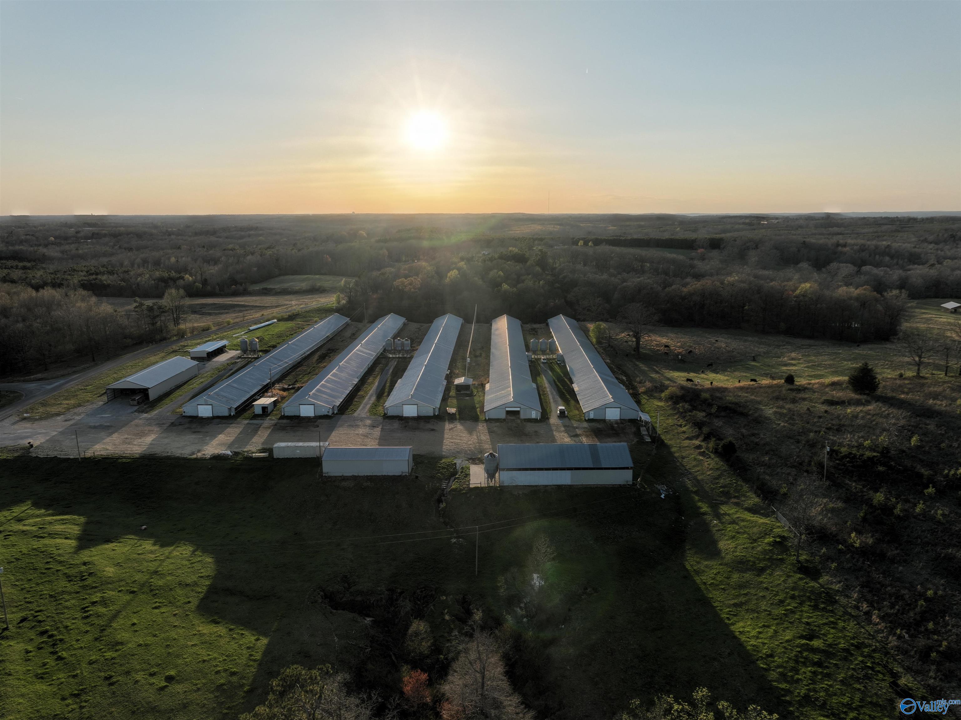 2210 County Highway 38, Russellville, Alabama image 1