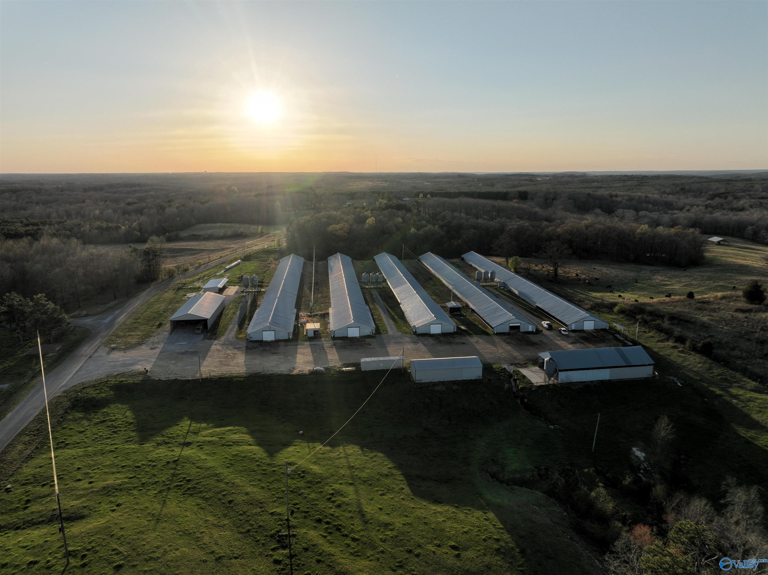 2210 County Highway 38, Russellville, Alabama image 2