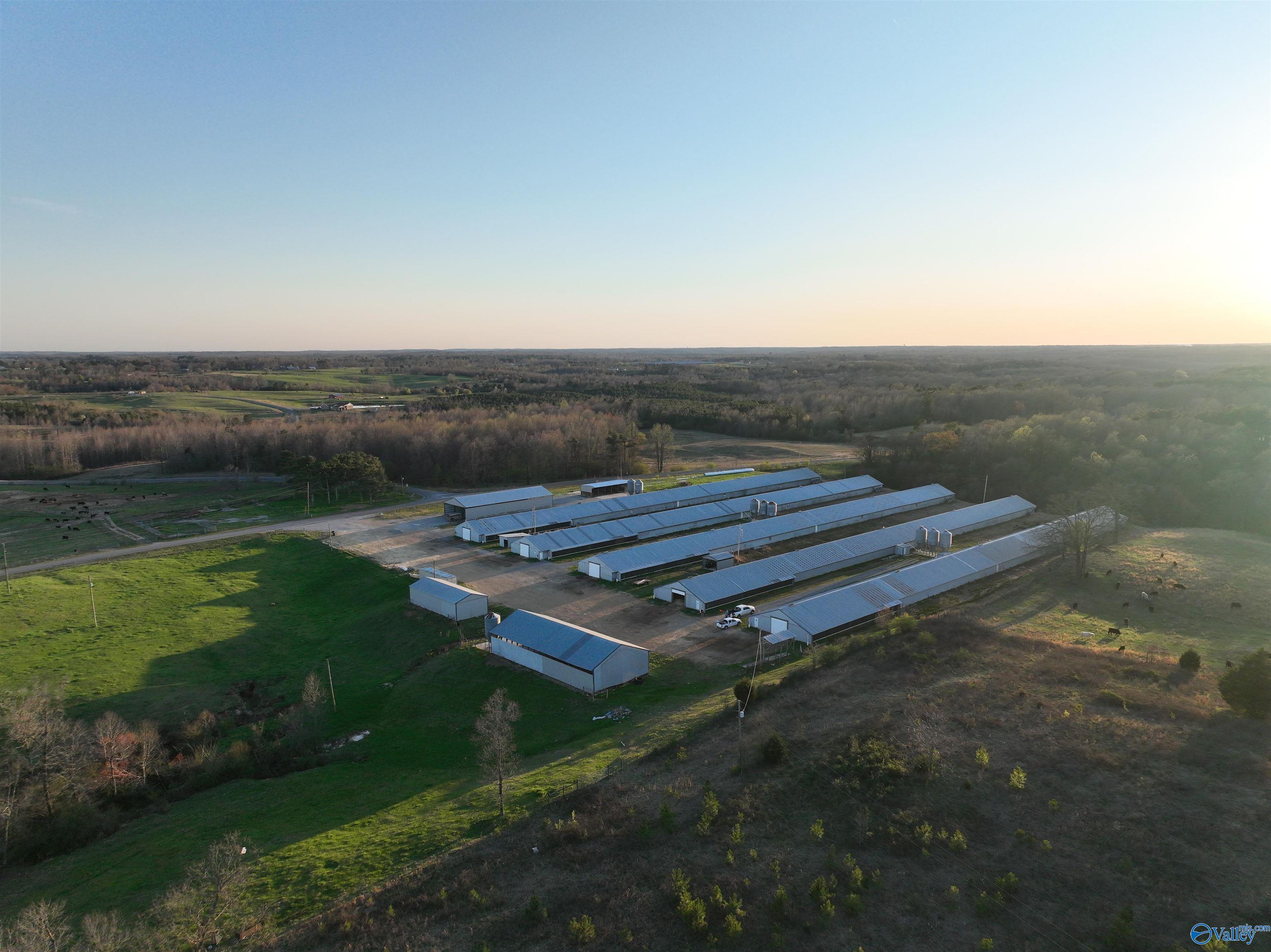 2210 County Highway 38, Russellville, Alabama image 4