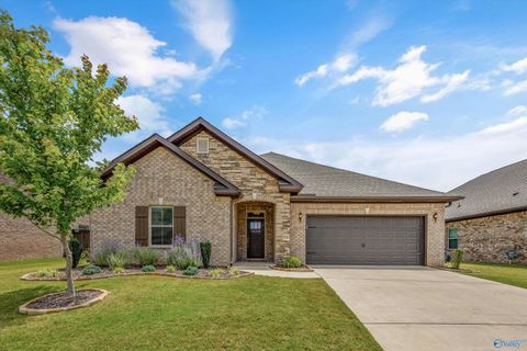 Homes For Sale - 16235 Trestle Street<br/> Huntsville, AL 35803