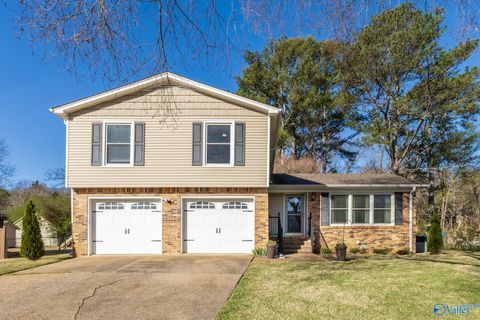 Photo of 9702 Dortmund Drive SE, Huntsville, AL 35803 (MLS # 21912747)