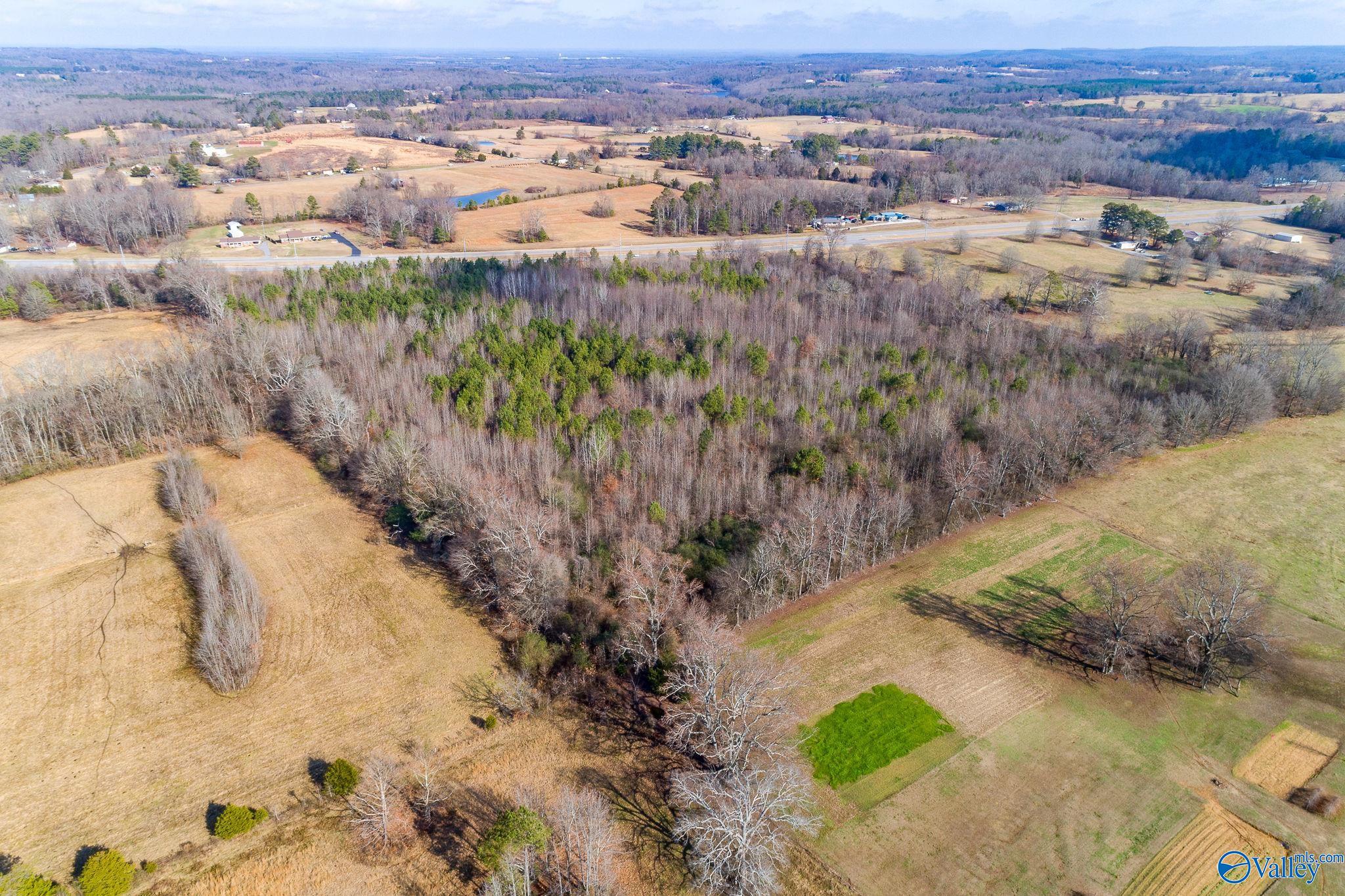 10.23 Acres Alabama Highway 157, Town Creek, Alabama image 3