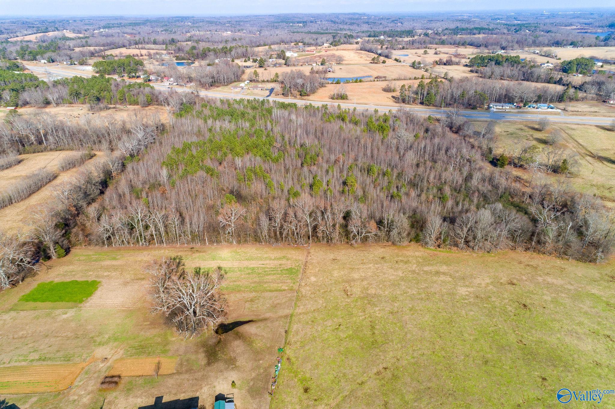 10.23 Acres Alabama Highway 157, Town Creek, Alabama image 4