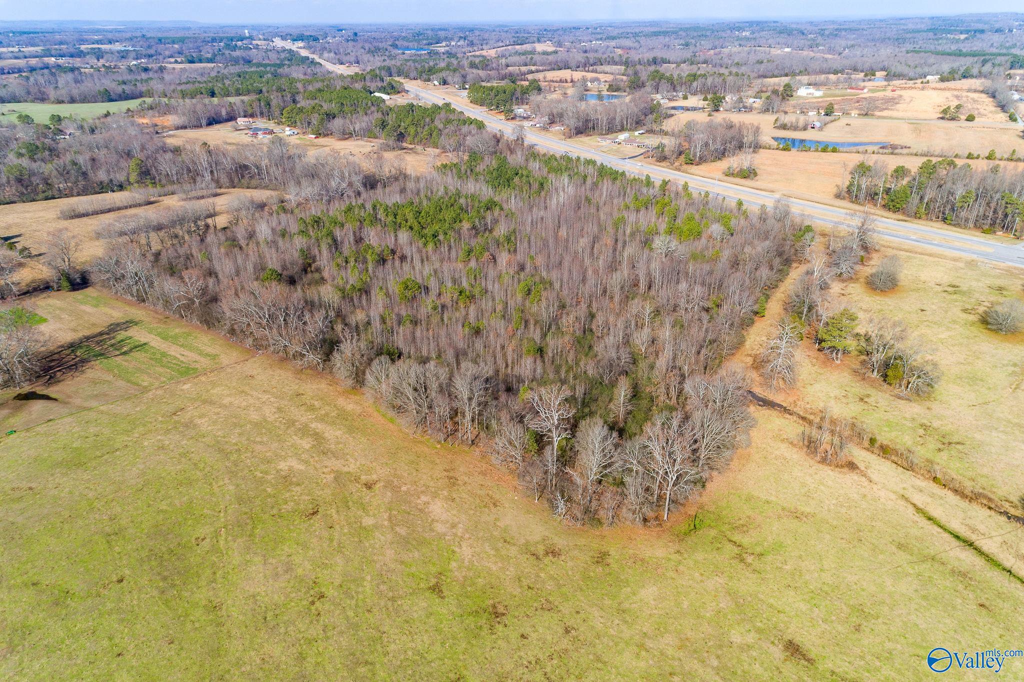 10.23 Acres Alabama Highway 157, Town Creek, Alabama image 6