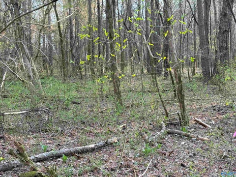 Vacant Land For Sale - 3 ACRES Carters Gin Road<br/> Toney, AL 35773