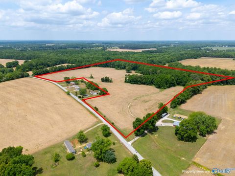 Vacant Land For Sale - 42.5 South Road<br/> Athens, AL 35613
