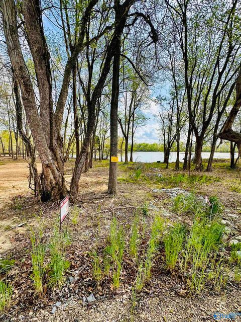 Vacant Land For Sale - 8 County Road 115 #8<br/> Cherokee County, Cedar Bluff, AL 35959