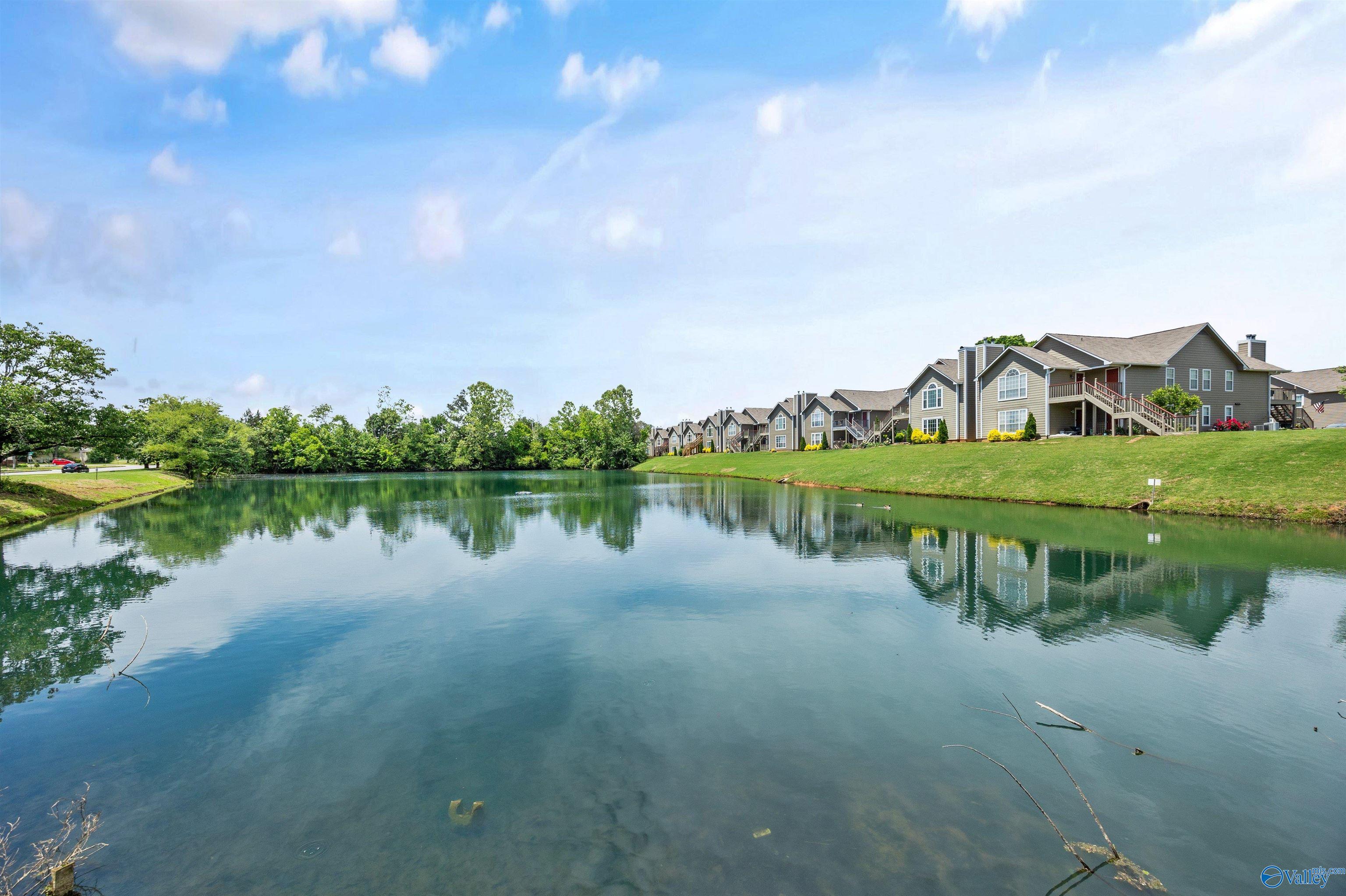 325 Waters Edge Lane, Madison, Alabama image 21