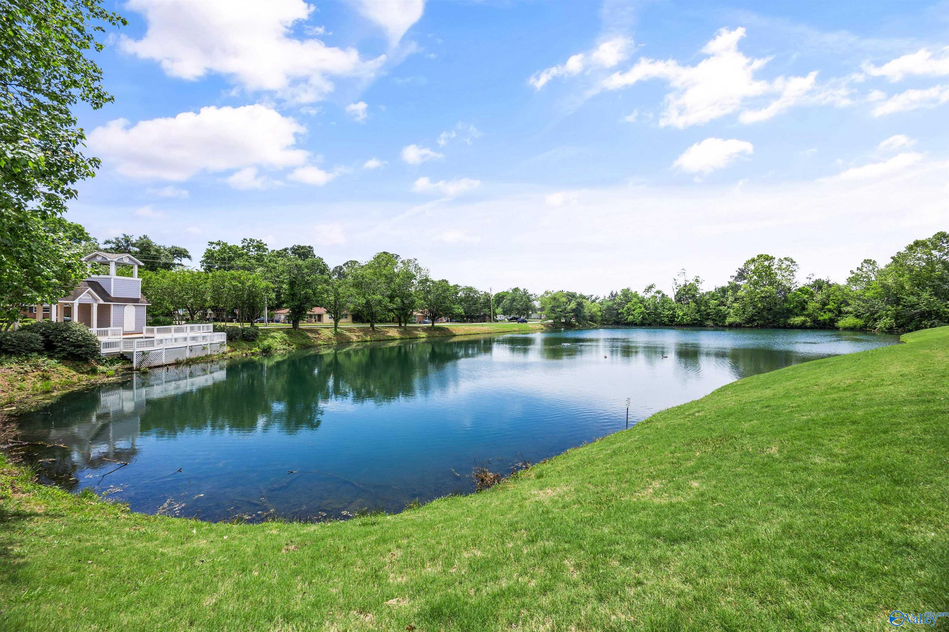 325 Waters Edge Lane, Madison, Alabama image 20