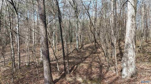 Vacant Land For Sale - 002 Toney Drive<br/> Etowah County, Altoona, AL 35952