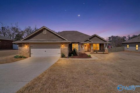 Photo of 14335 Water Stream Drive NW, Harvest, AL 35749 (MLS # 21911909)