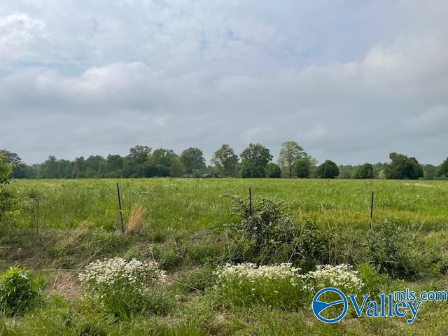 1894 County Road 76, Fyffe, Alabama image 21