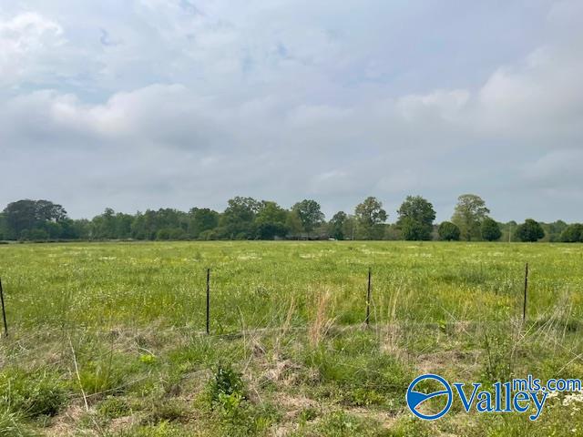 1894 County Road 76, Fyffe, Alabama image 20