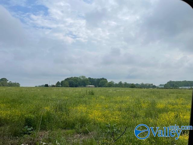1894 County Road 76, Fyffe, Alabama image 27