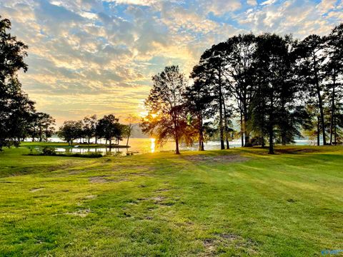 Vacant Land For Sale - 2860 Lake Forest Court<br/> Etowah County, Southside, AL 35907