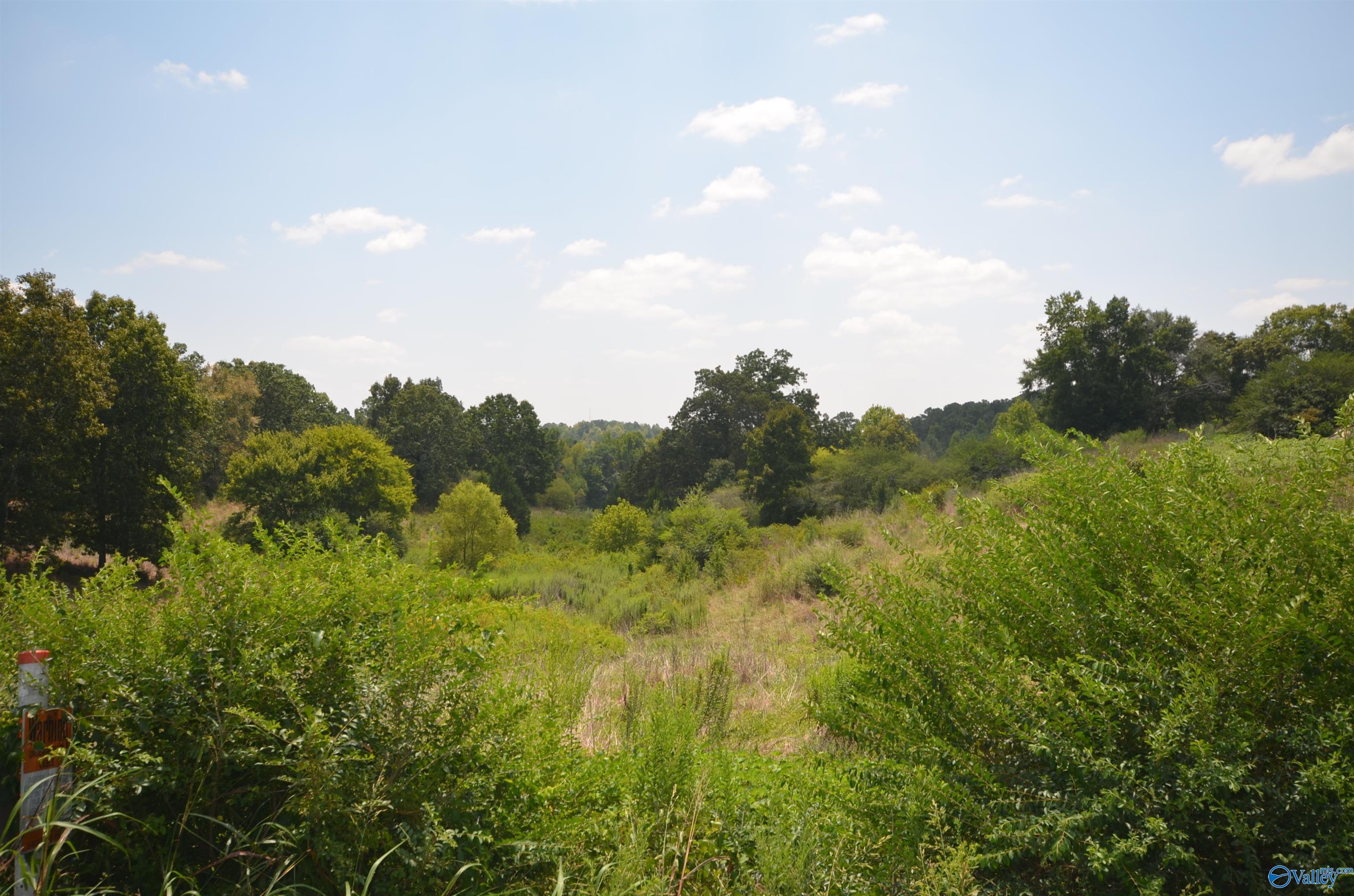 26.4 Acres Lindsay Road, Cullman, Alabama image 10