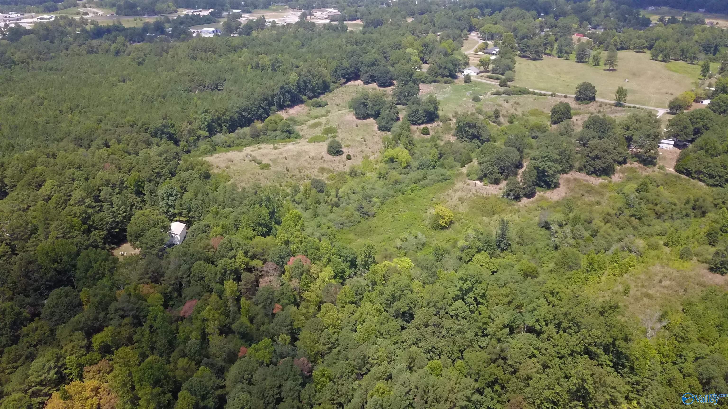 26.4 Acres Lindsay Road, Cullman, Alabama image 7