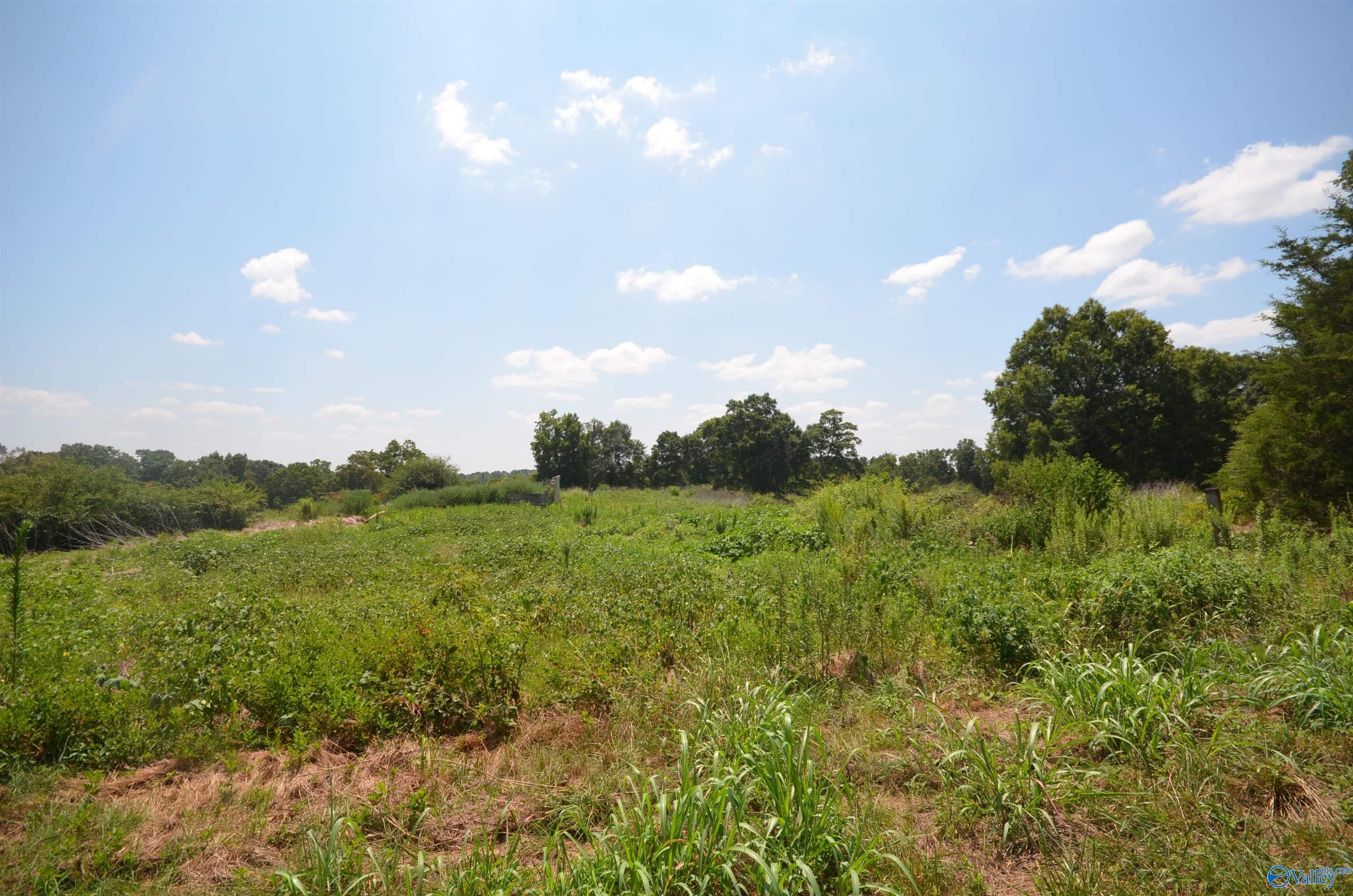 26.4 Acres Lindsay Road, Cullman, Alabama image 9