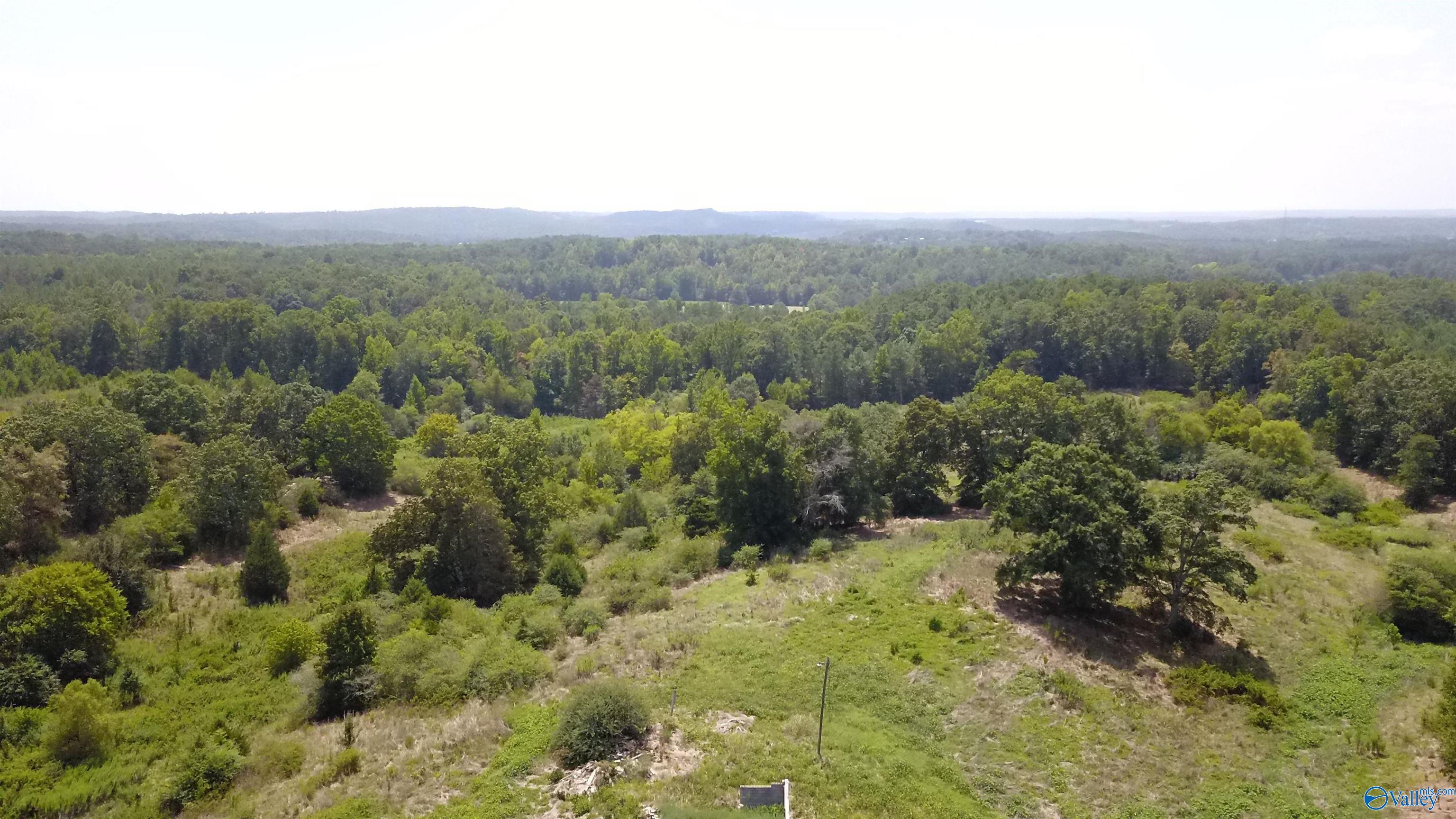 26.4 Acres Lindsay Road, Cullman, Alabama image 3