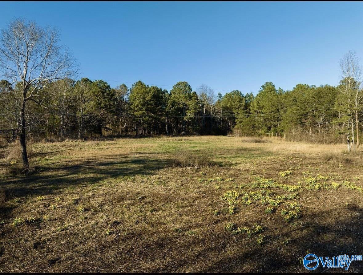 2060 County Road 270, Fort Payne, Alabama image 6