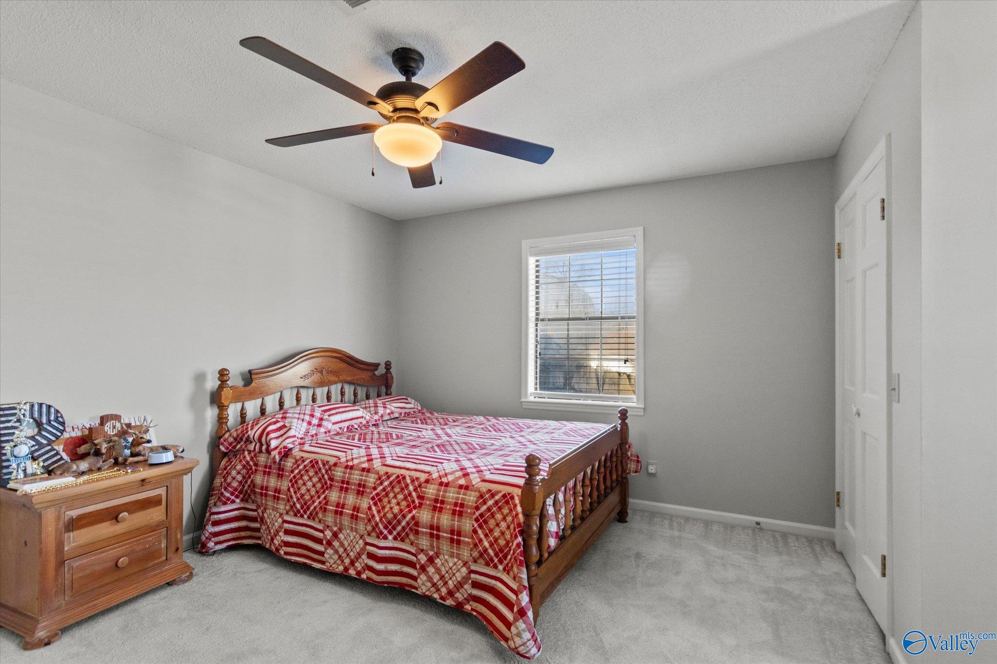 217 Collier Drive, Albertville, Alabama image 25