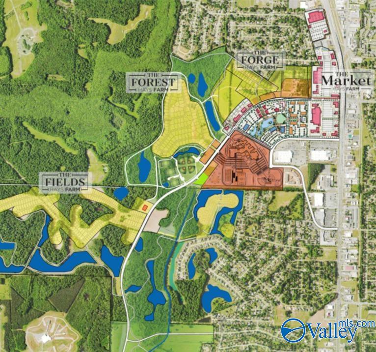 8046 Tupelo Gum Trace