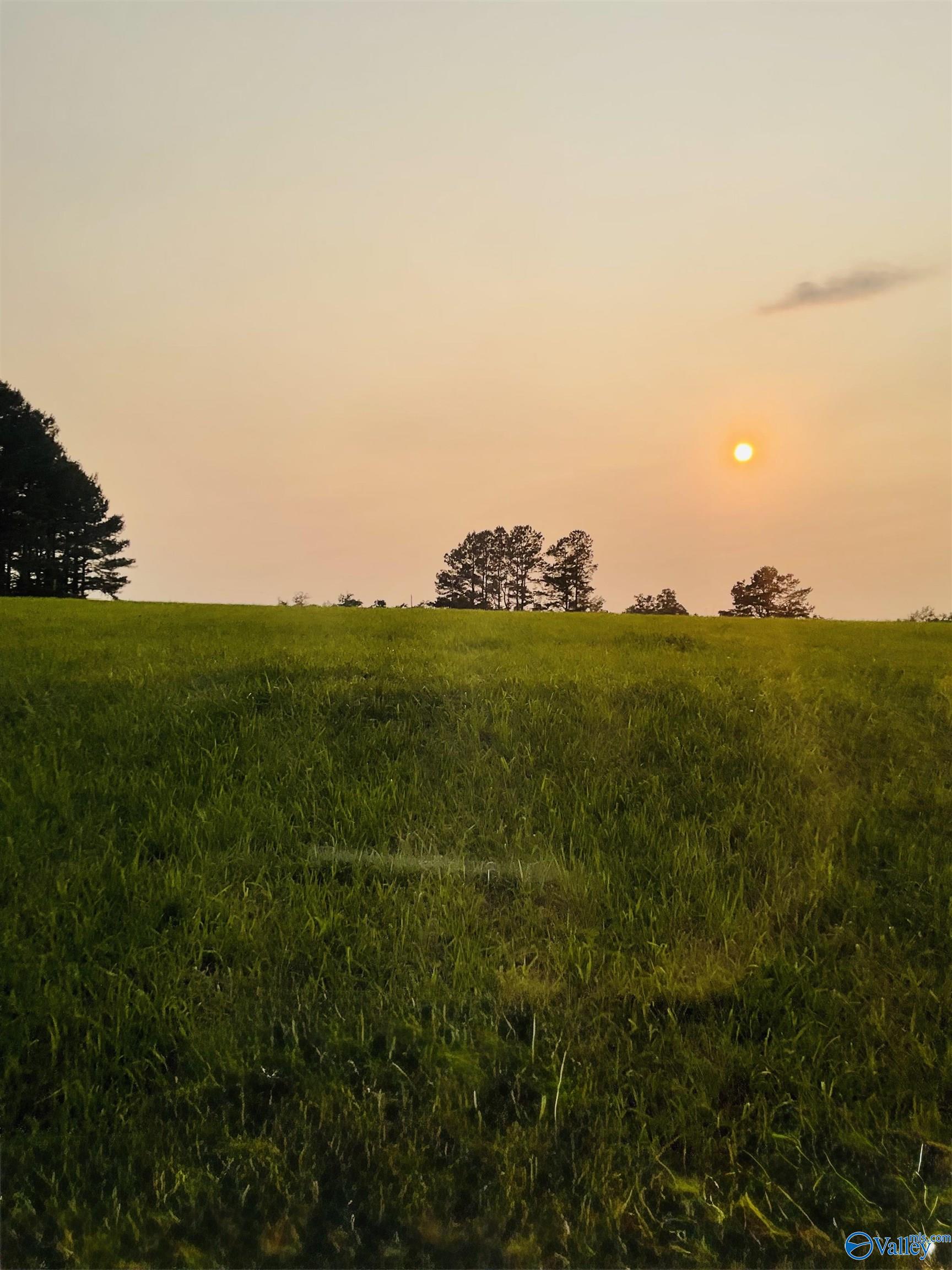 4.14 Acres Salem Minor Hill Road, Lester, Alabama image 9
