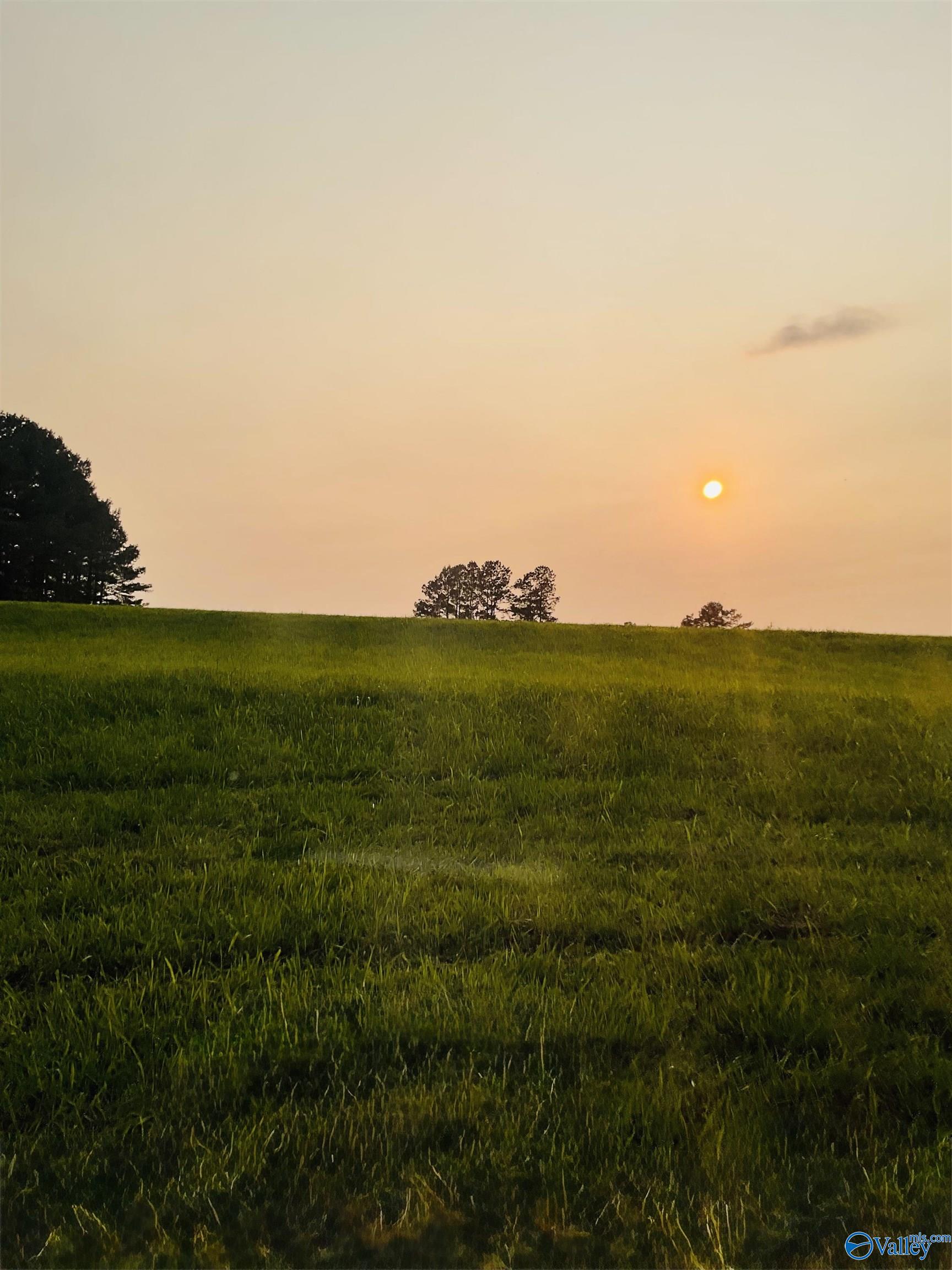 4.14 Acres Salem Minor Hill Road, Lester, Alabama image 8