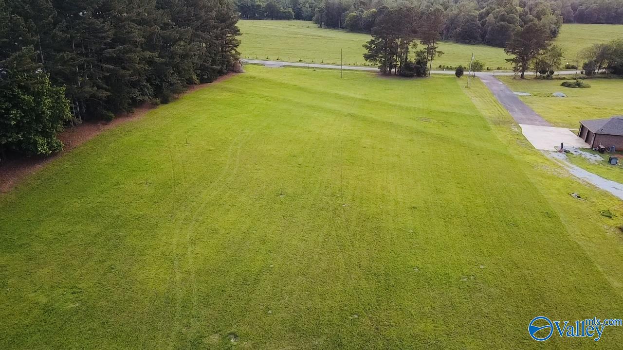 4.14 Acres Salem Minor Hill Road, Lester, Alabama image 3