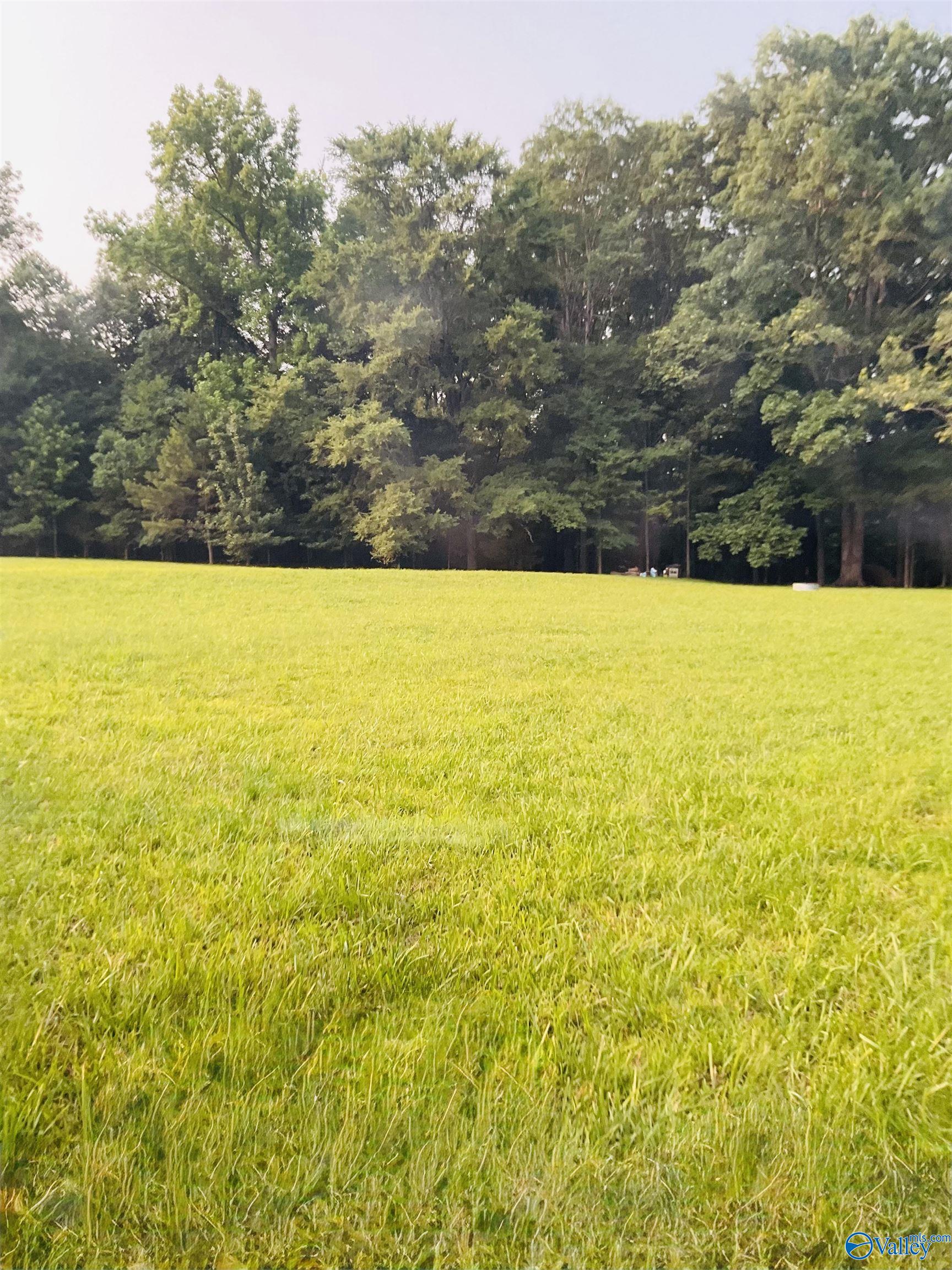 4.14 Acres Salem Minor Hill Road, Lester, Alabama image 5