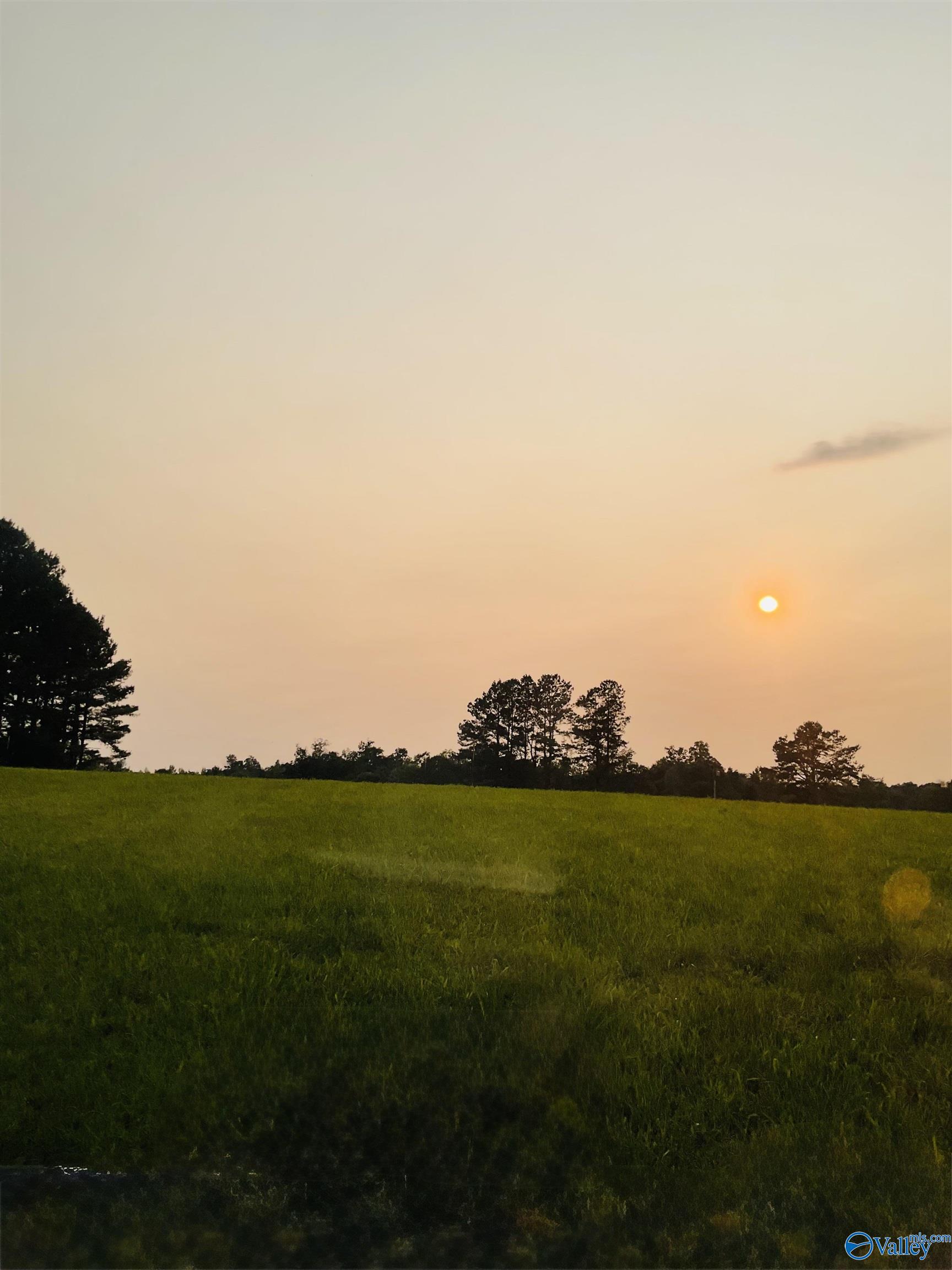 4.14 Acres Salem Minor Hill Road, Lester, Alabama image 10