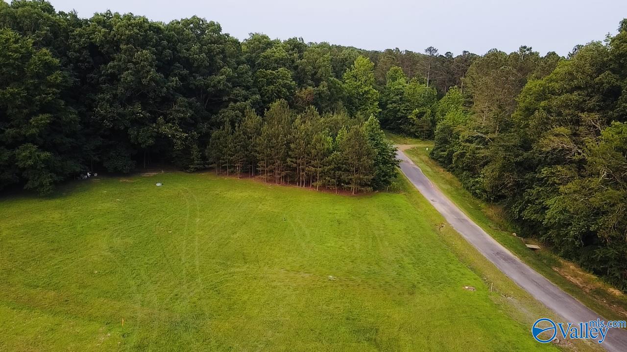 4.14 Acres Salem Minor Hill Road, Lester, Alabama image 1