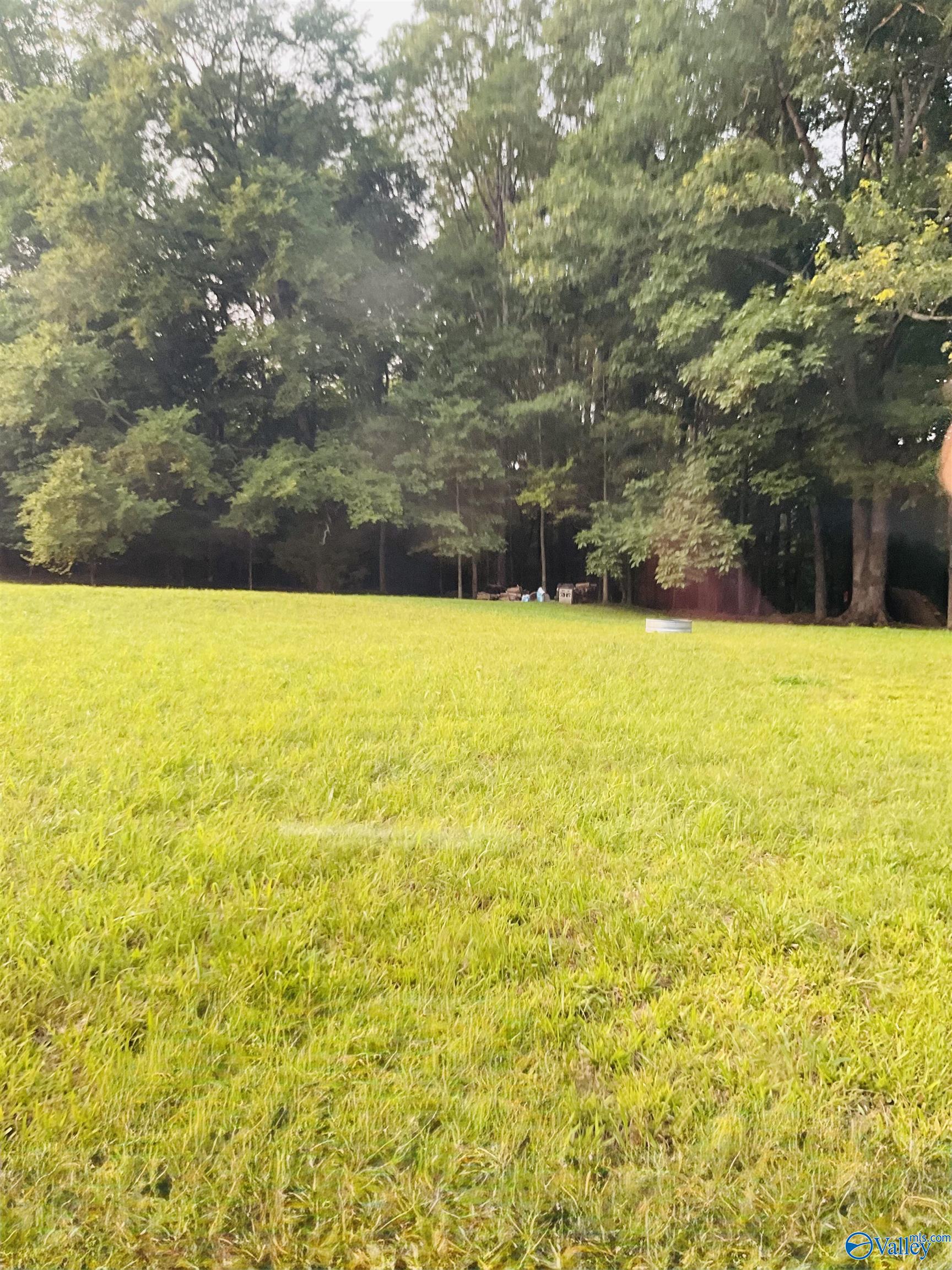 4.14 Acres Salem Minor Hill Road, Lester, Alabama image 6