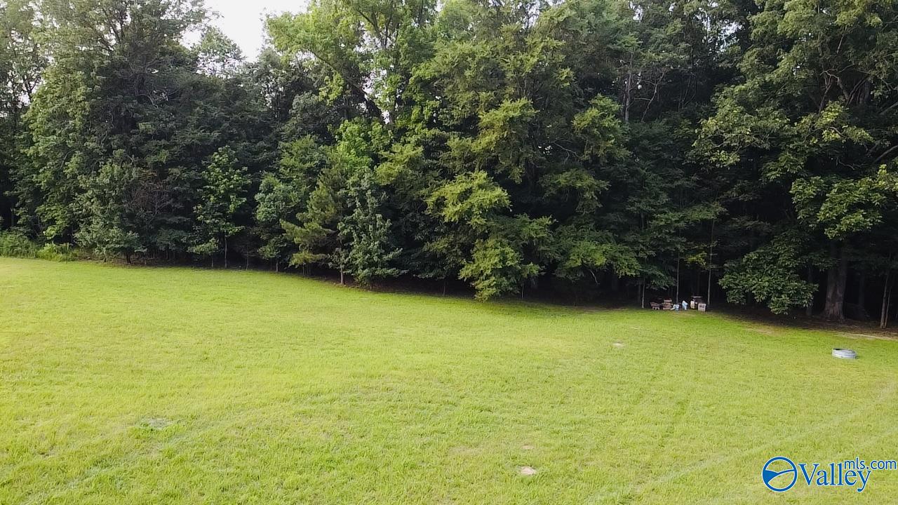 4.14 Acres Salem Minor Hill Road, Lester, Alabama image 2