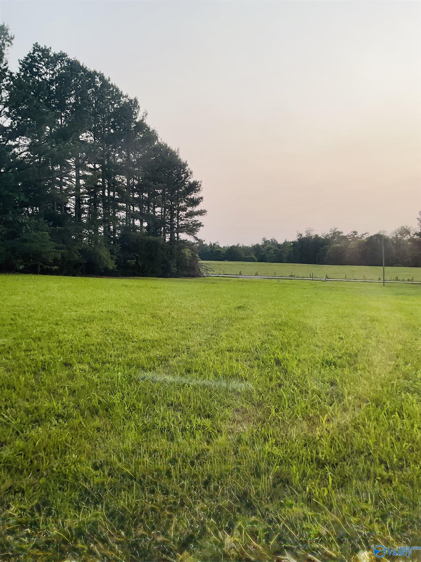 4.14 Acres Salem Minor Hill Road, Lester, Alabama image 4