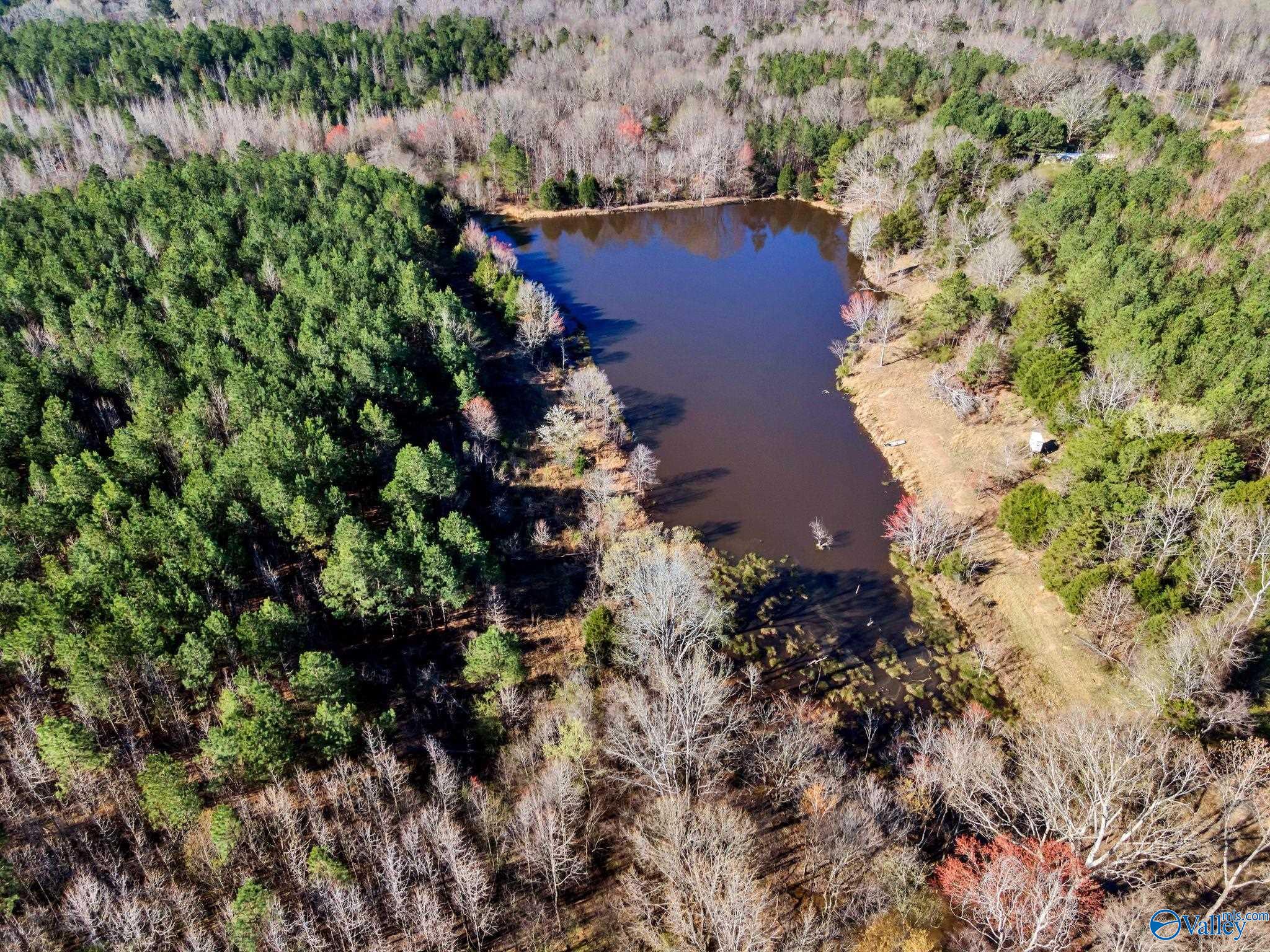 10354 Hwy 101, Town Creek, Alabama image 3