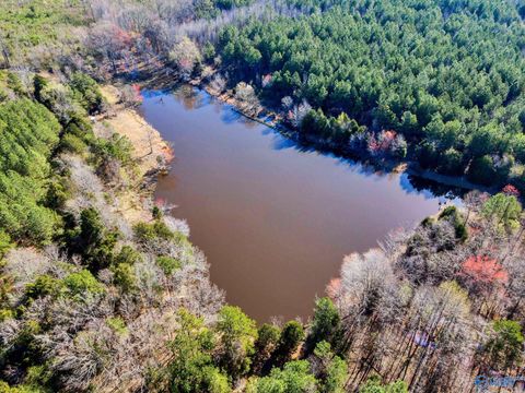 Vacant Land For Sale - 10354 Hwy 101<br/> Town Creek, AL 35672