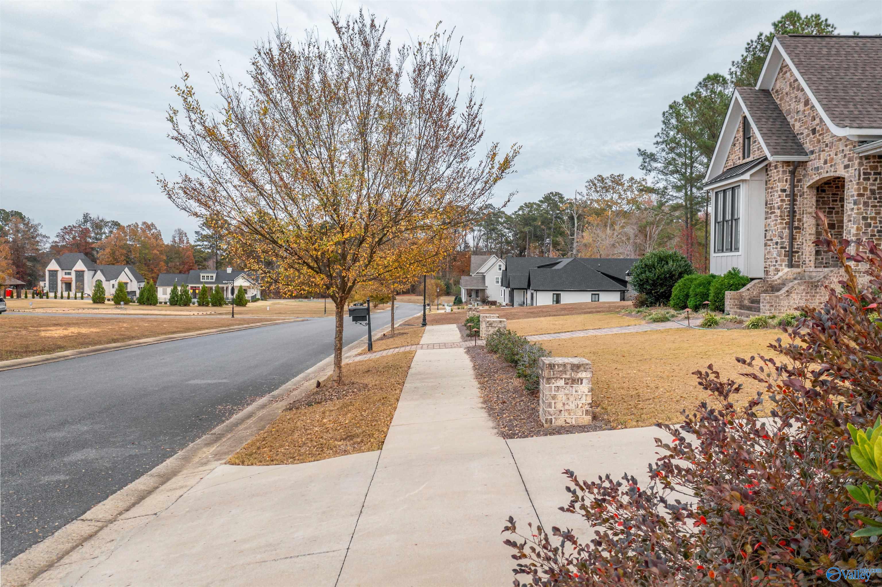 130 Copper Leaf Walk, Gadsden, Alabama image 5