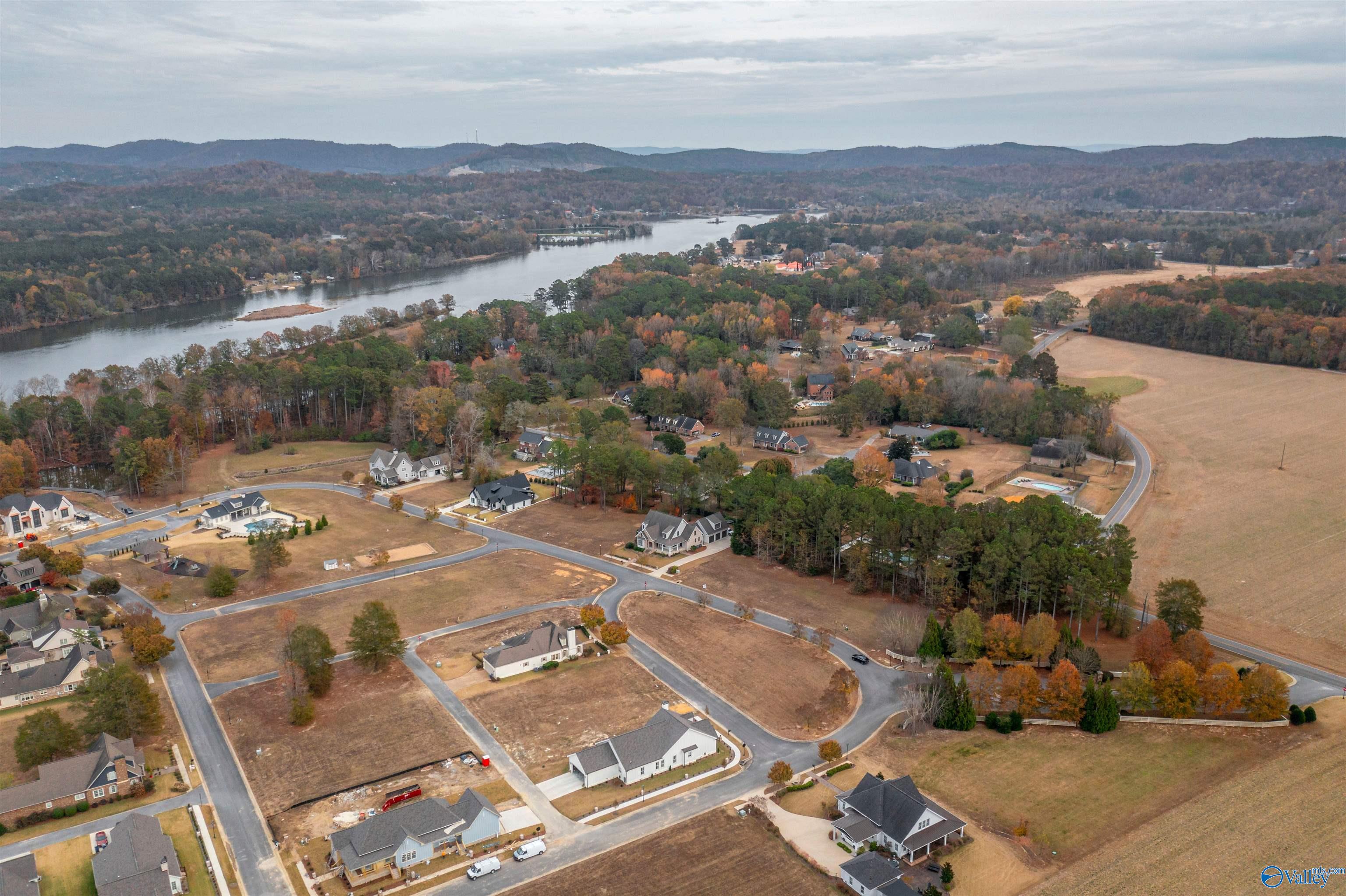 130 Copper Leaf Walk, Gadsden, Alabama image 7