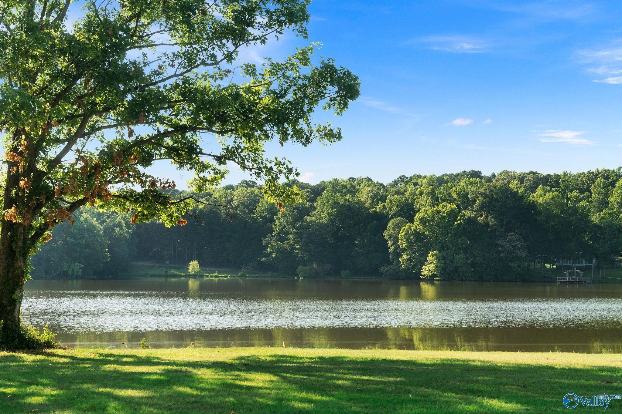 60 County Road 1057, Cedar Bluff, Alabama image 15