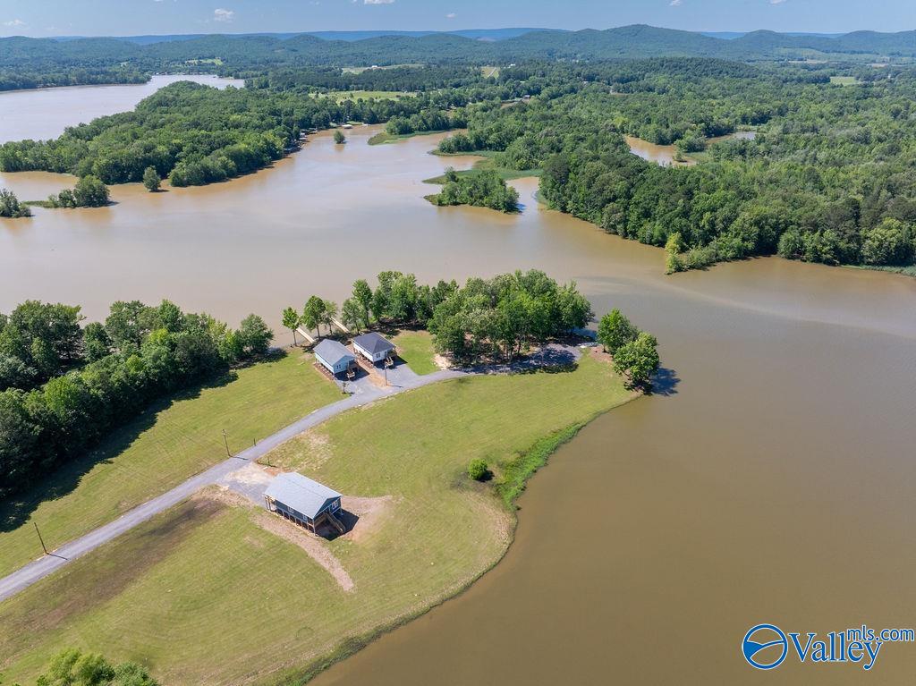 60 County Road 1057, Cedar Bluff, Alabama image 17