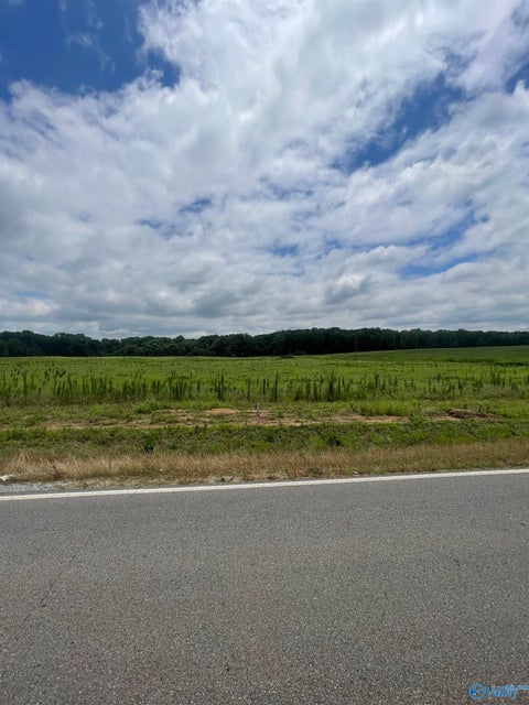 Vacant Land For Sale - 8 Ed Ray Road<br/> Athens, AL 35611