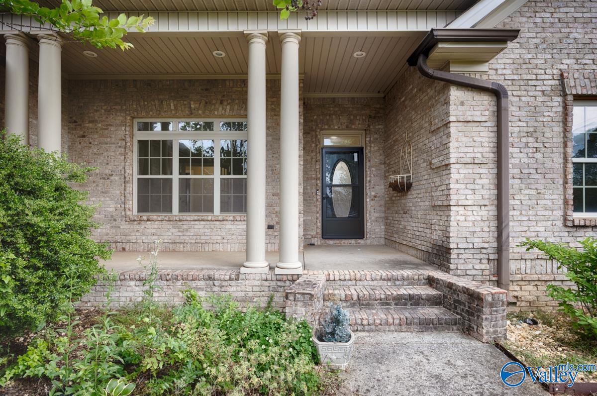 24527 Queen Annes Lace, Athens, Alabama image 7