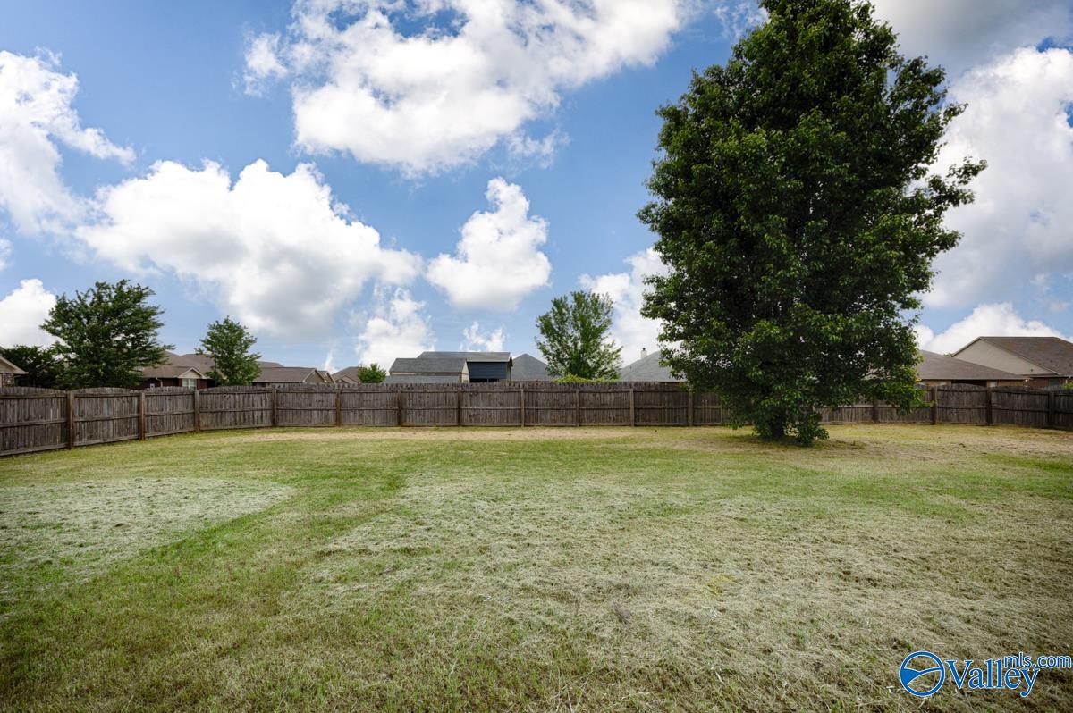 24527 Queen Annes Lace, Athens, Alabama image 40