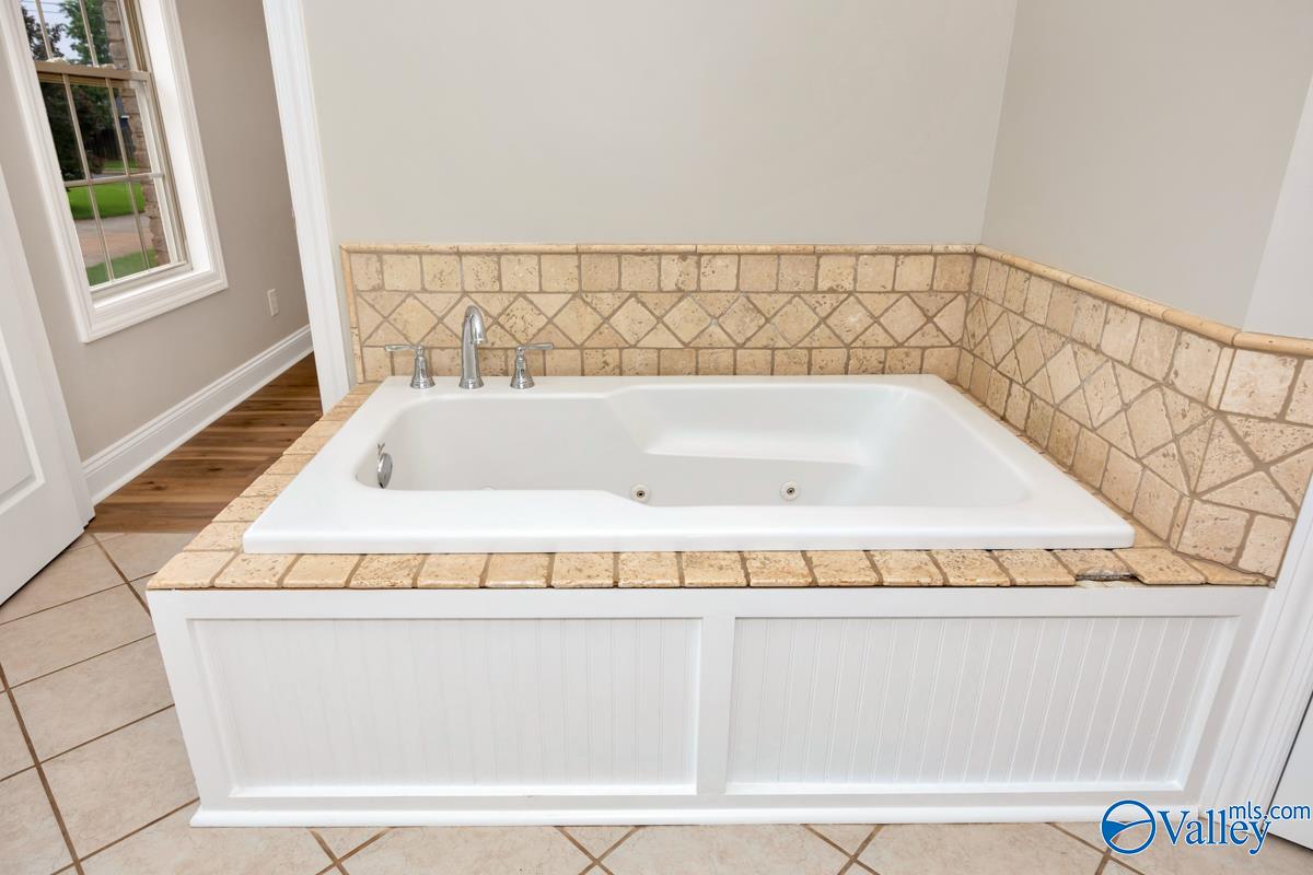 24527 Queen Annes Lace, Athens, Alabama image 27