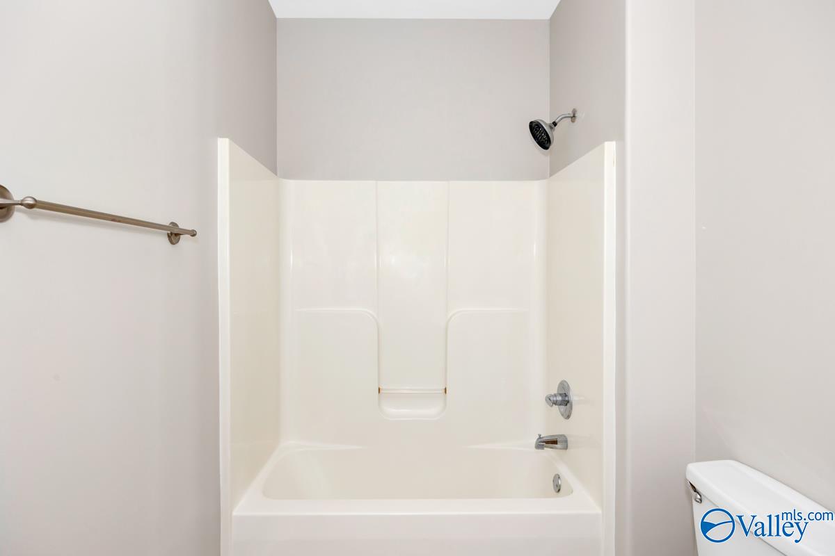 24527 Queen Annes Lace, Athens, Alabama image 35