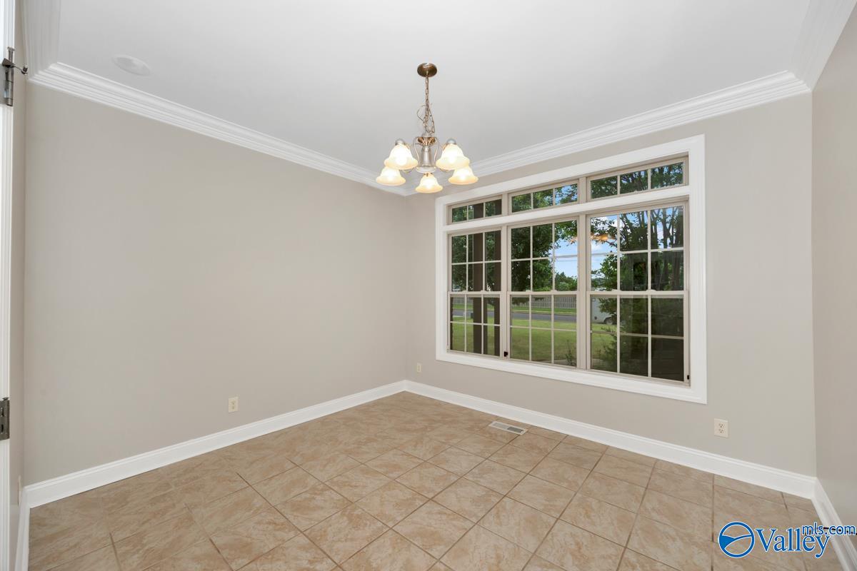 24527 Queen Annes Lace, Athens, Alabama image 21